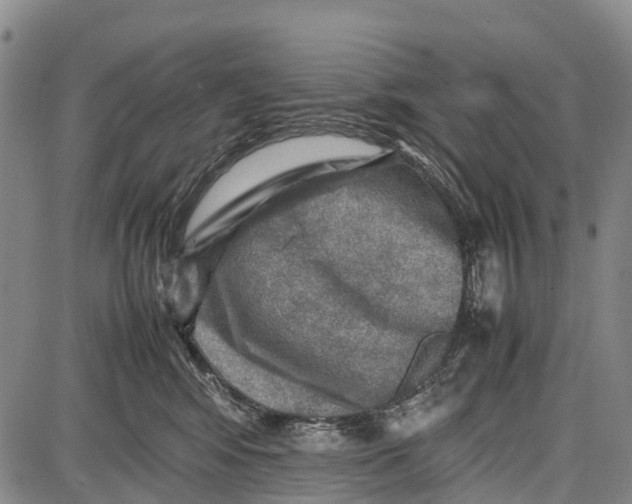 X0000087050424200705091140