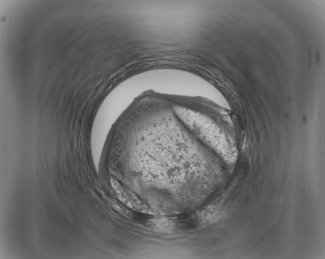 X0000087050425200705091140