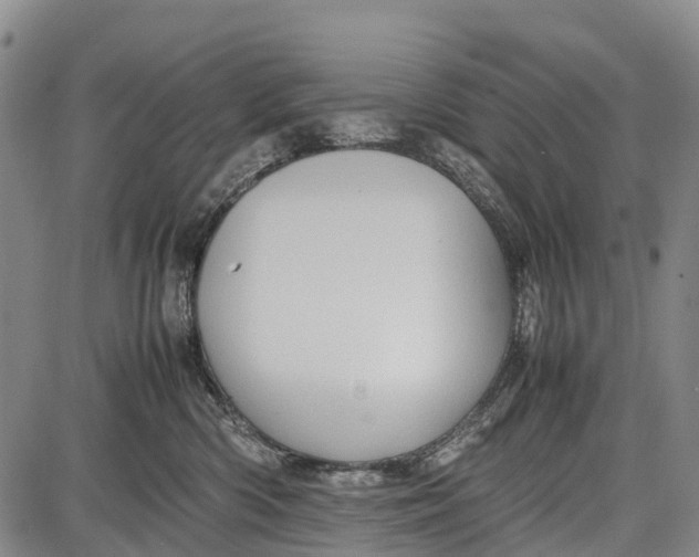 X0000087050426200705091140