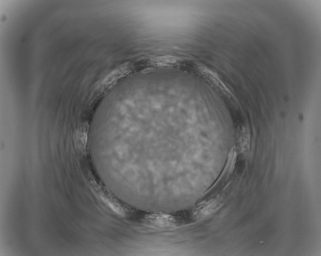 X0000087050427200705091140