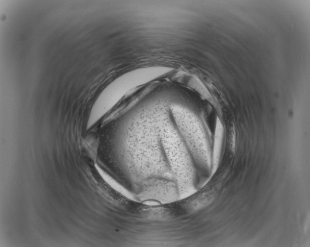 X0000087050428200705091140