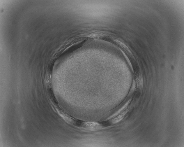 X0000087050429200705091140