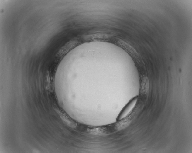 X0000087050430200705091140