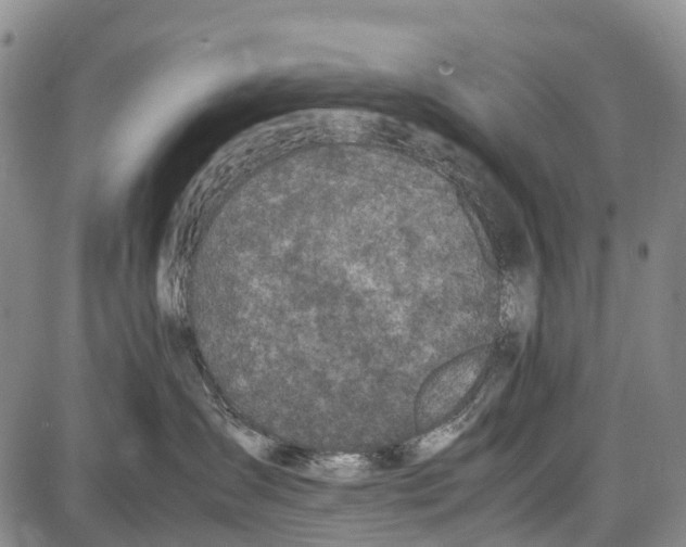 X0000087050431200705091140