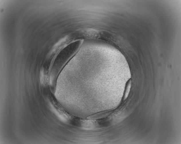 X0000087050432200705091140