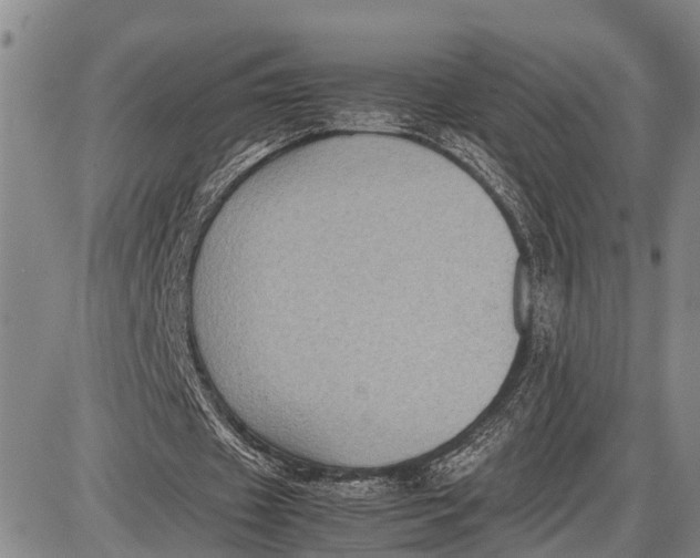 X0000087050433200705091139