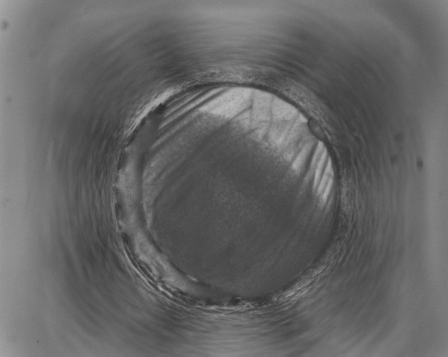 X0000087050434200705091139