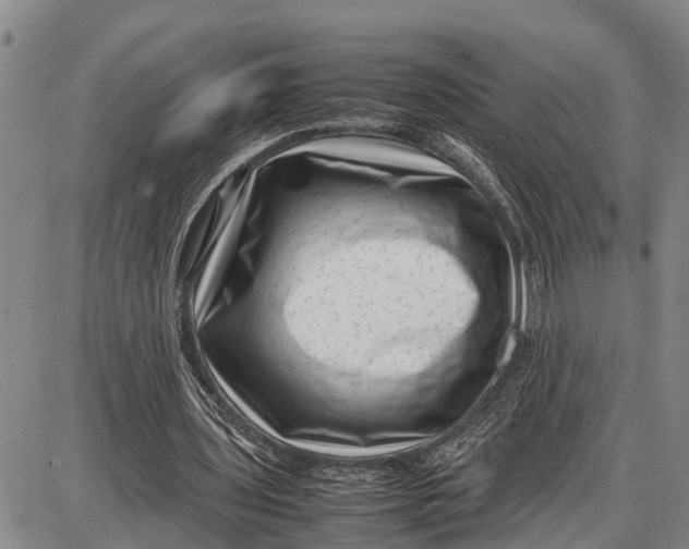 X0000087050435200705091139