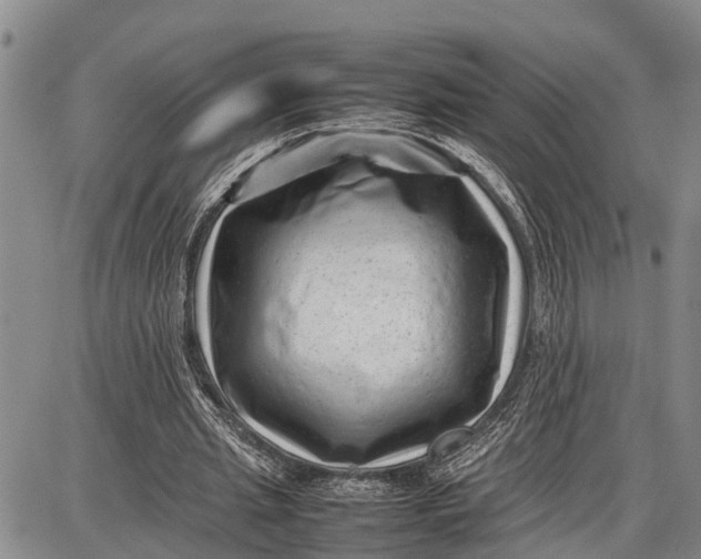 X0000087050437200705091139