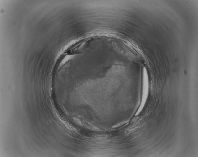 X0000087050438200705091139