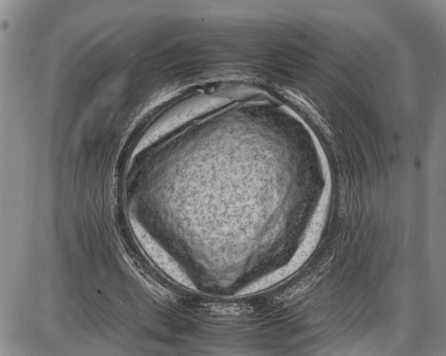 X0000087050439200705091139