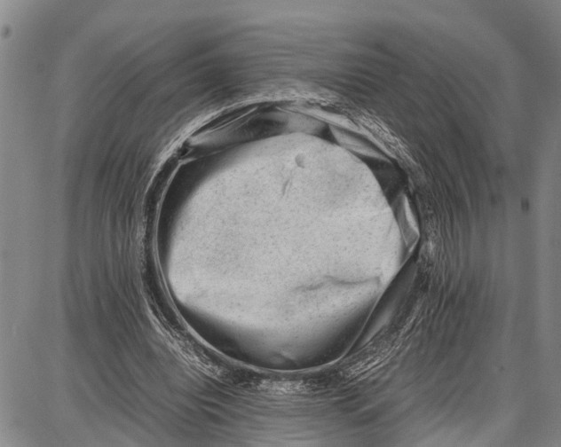 X0000087050440200705091139