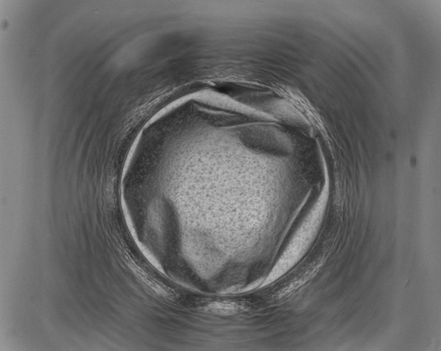 X0000087050441200705091139