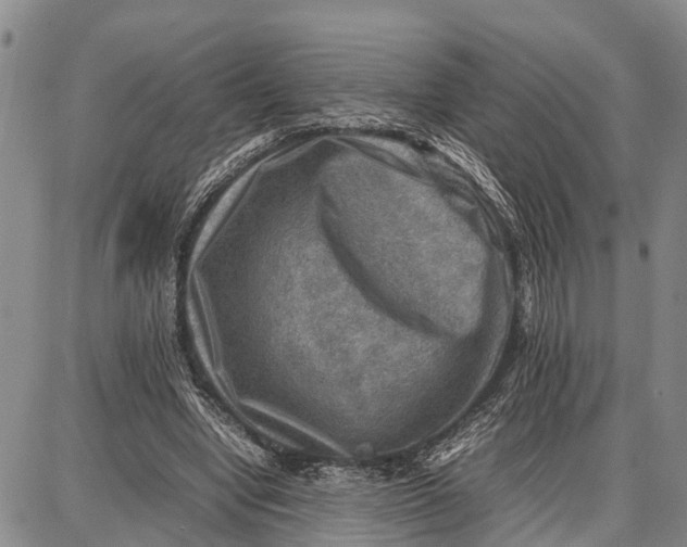 X0000087050442200705091139