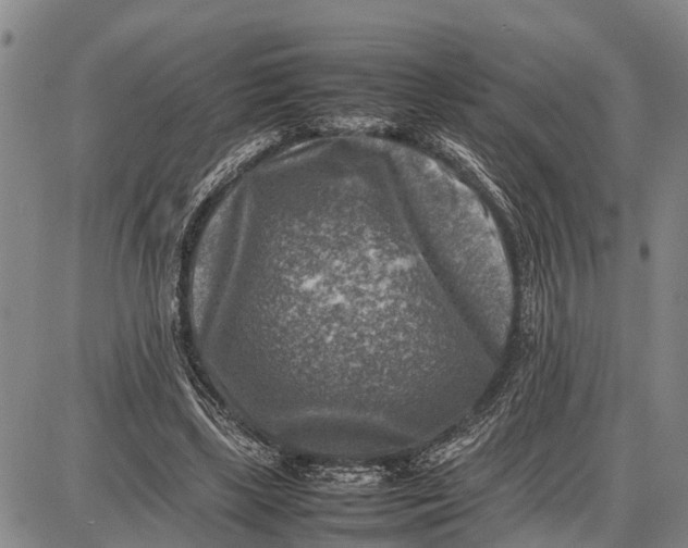 X0000087050443200705091139