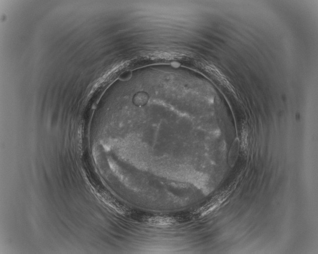 X0000087050444200705091140