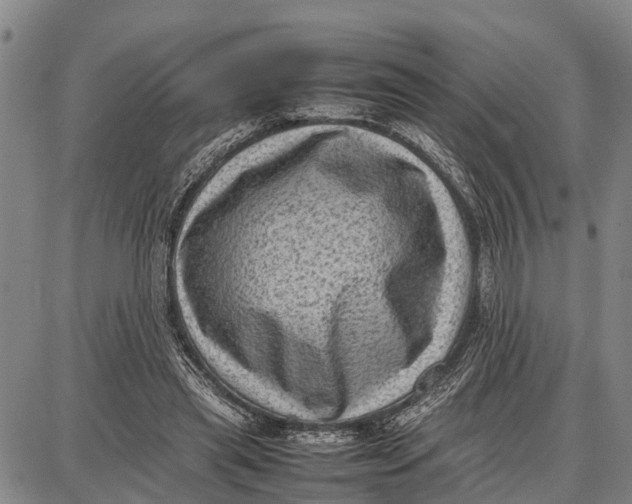 X0000087050445200705091140