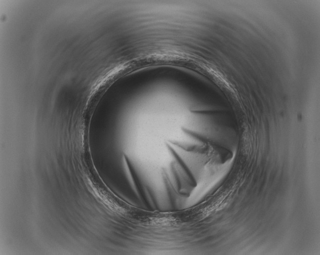 X0000087050446200705091140