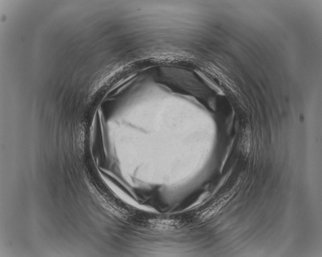 X0000087050448200705091140