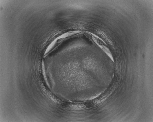 X0000087050449200705091140