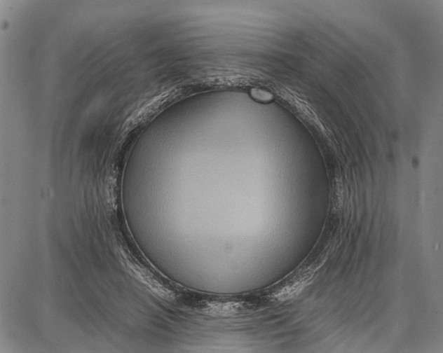 X0000087050450200705091140