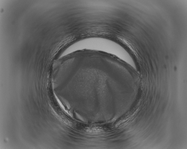 X0000087050451200705091140