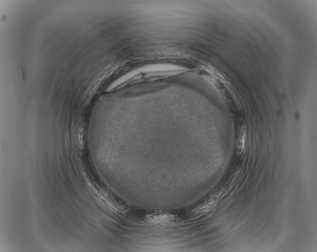 X0000087050452200705091140