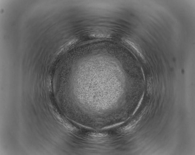 X0000087050453200705091140