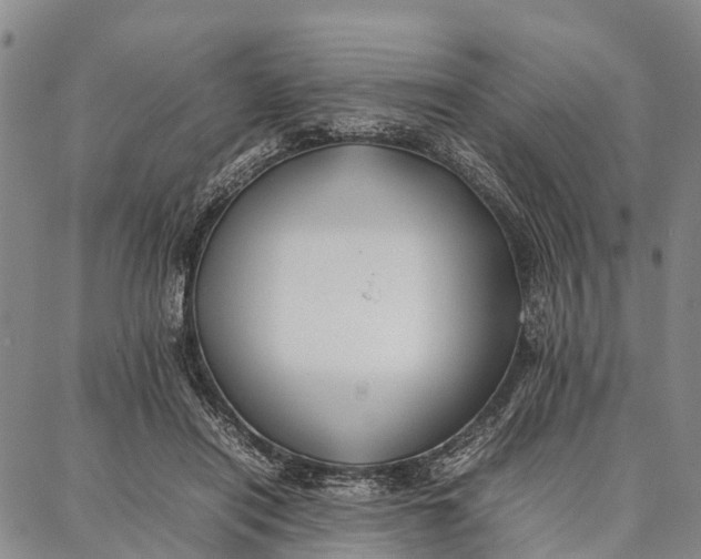 X0000087050454200705091140