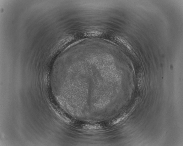 X0000087050455200705091140