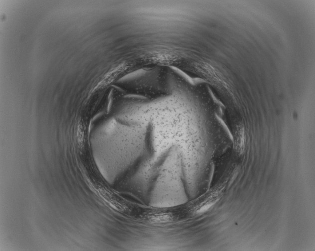 X0000087050456200705091140