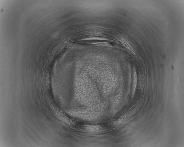 X0000087050457200705091140