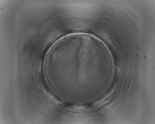 X0000087050458200705091140