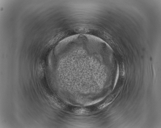 X0000087050460200705091140