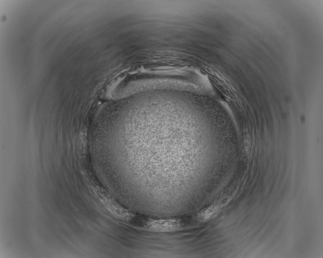 X0000087050461200705091140