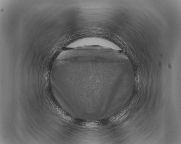 X0000087050462200705091140