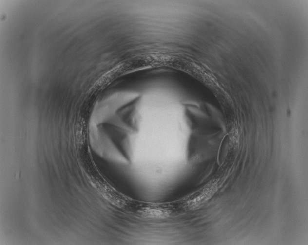 X0000087050464200705091140