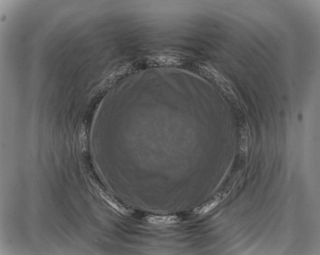 X0000087050465200705091140