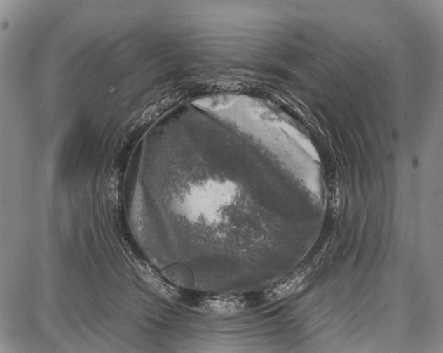 X0000087050466200705091140