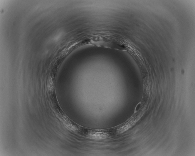 X0000087050467200705091140