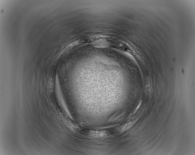 X0000087050469200705091140