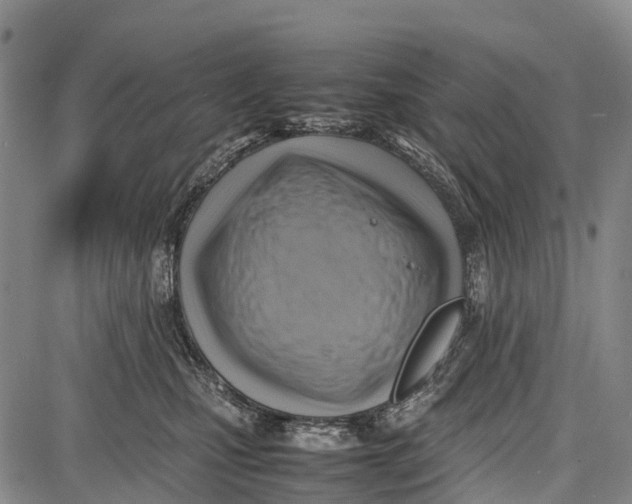 X0000087050471200705091140