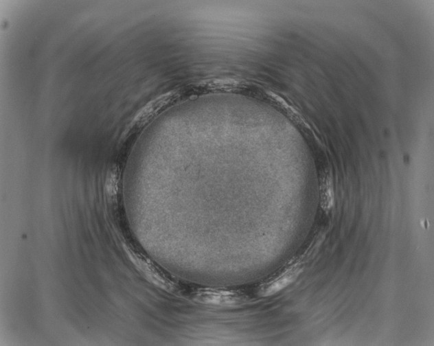 X0000087050472200705091140