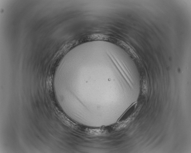 X0000087050473200705091140