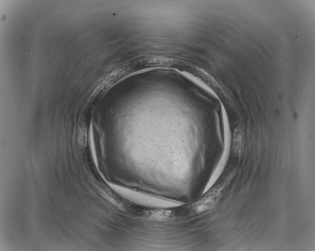 X0000087050474200705091140