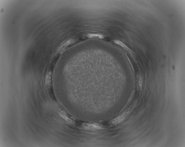 X0000087050475200705091140