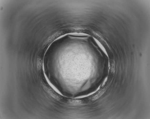 X0000087050476200705091140