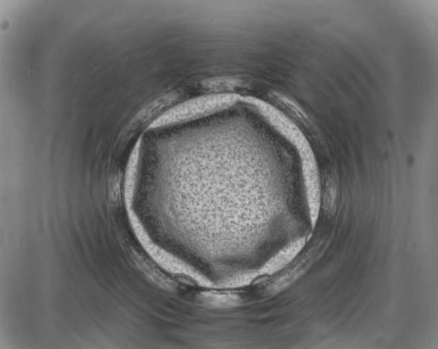 X0000087050477200705091140