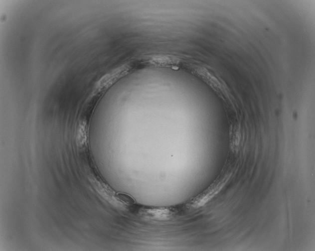 X0000087050478200705091140