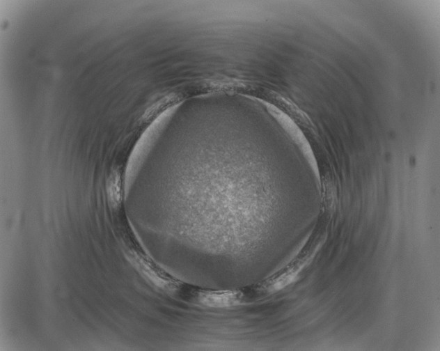 X0000087050479200705091140